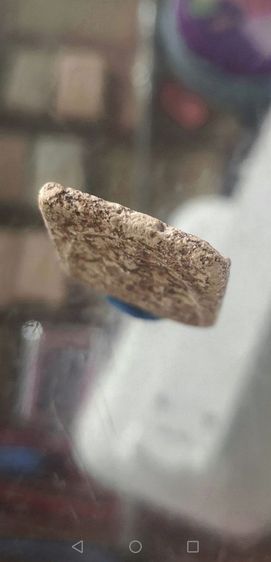 สมเด็จบางขุนพรหมพิมพ์เส้นด้ายเนื้อจัดจ้านสวยสมบูรณ์ รูปที่ 10