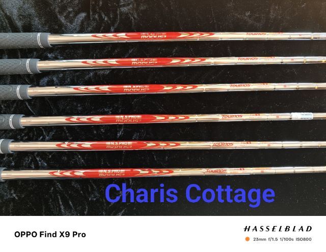 ชุดเหล็ก MIZUNO Pro221