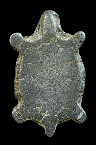 เต่าเก่า ไม่ทราบที่ เลี่ยม รูปที่ 2