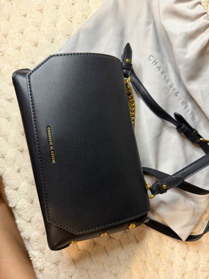 กระเป๋า charles and keith รูปที่ 2