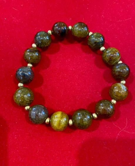 เกร็ดมังกร​มงคล​ 