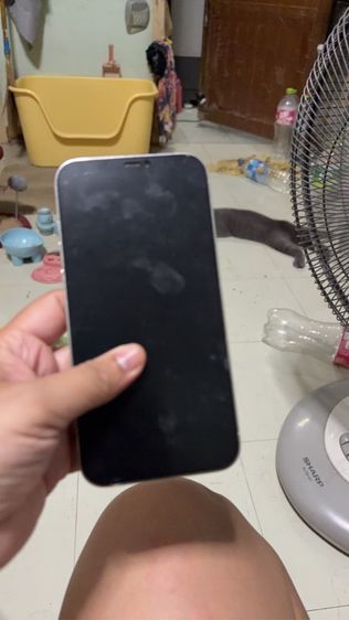 ไอโฟน12 Pro Max รูปที่ 7