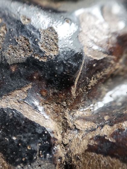 พระปิดตาลงรักไม่ทราบสำนักครับ รูปที่ 10