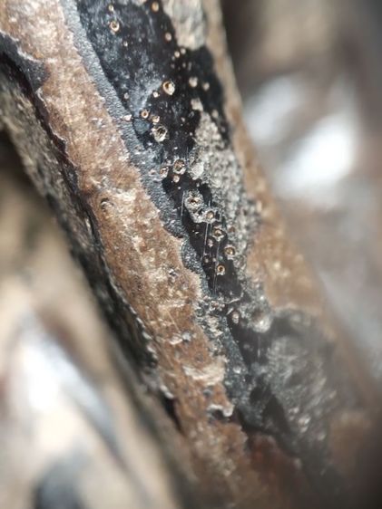 พระปิดตาลงรักไม่ทราบสำนักครับ รูปที่ 11