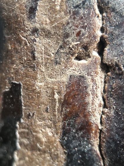 พระปิดตาลงรักไม่ทราบสำนักครับ รูปที่ 15