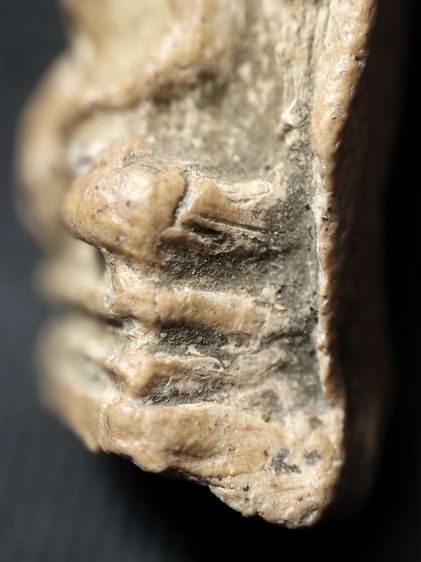 พระรอดลำพูนพิมพ์ต้อครับสวยเนื้อละเอียดดีครับ รูปที่ 8