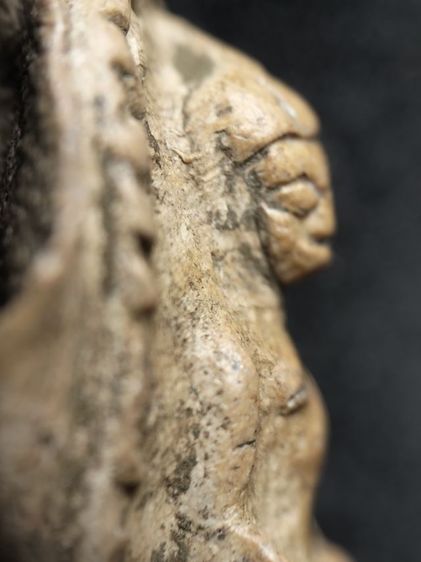 พระรอดลำพูนพิมพ์ต้อครับสวยเนื้อละเอียดดีครับ รูปที่ 6