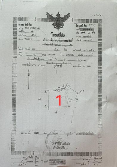 ใช่ ที่ดิน 3 แปลง 52 ไร่ ทำเลดี ราคาถูก เหมาะลงทุน