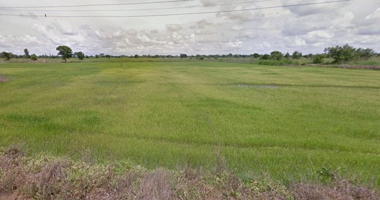 ที่ดิน 3 แปลง 52 ไร่ ทำเลดี ราคาถูก เหมาะลงทุน
