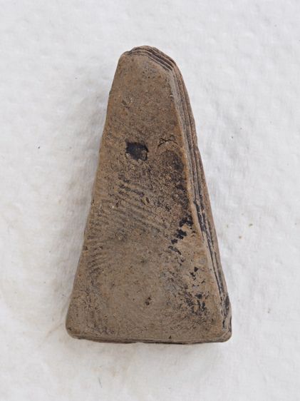 พระผงสุพรรณ 20016910 รูปที่ 2