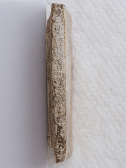 พระสมเด็จ วัดเกศไชโย 20016917 รูปที่ 4