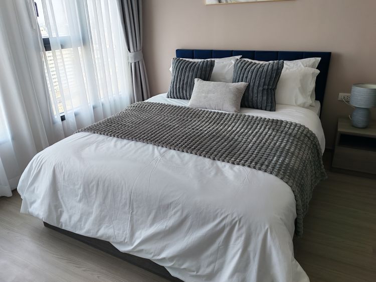 Bed Set ชุดเตียง 155cm x 195cm (Dream Master Splendid) 
