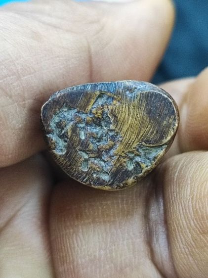 เปิดครับ รูปที่ 5