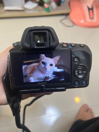 กล้อง Sony รูปที่ 2