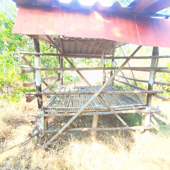 (ขายที่ดินสวย) 1 ไร่ 1 งาน 40 ตารางวา สวนเกษตรอินทรีย์ บรรยากาศดี ใกล้ตลาดน้ำสามวัง พนัสนิคม ชลบุรี รูปที่ 2