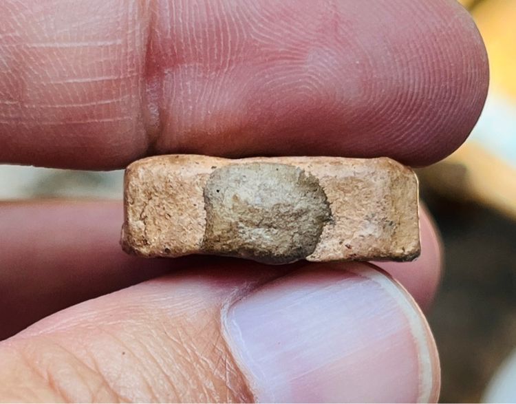 หลวงพ่อปาน รูปที่ 4