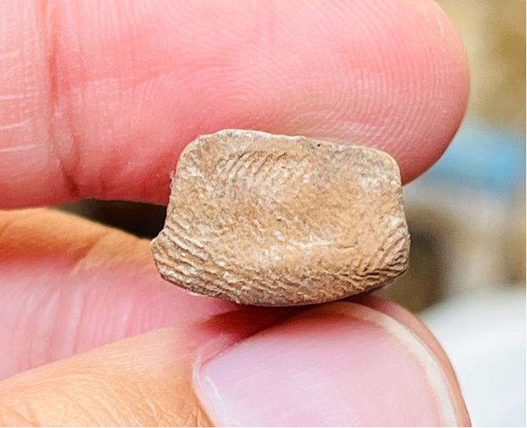 พระรอด รูปที่ 4