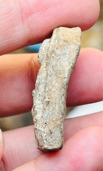 หลวงปู่ทวด พะโค๊ะ รูปที่ 3