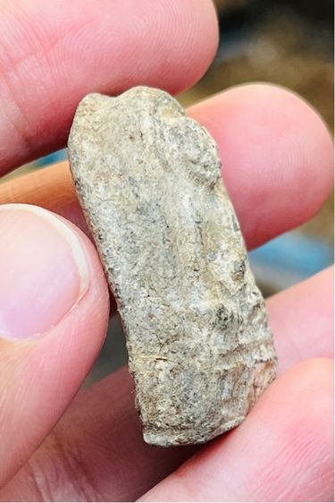 หลวงปู่ทวด พะโค๊ะ รูปที่ 5