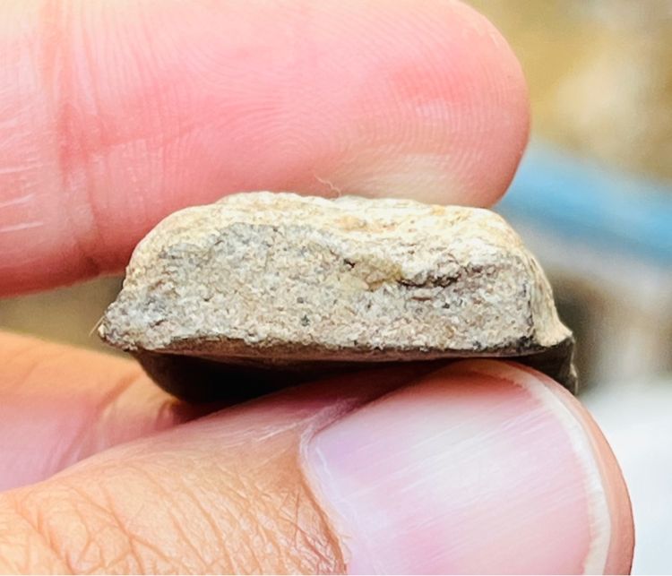 หลวงปู่ทวด พะโค๊ะ รูปที่ 4