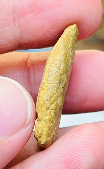 หลวงปู่บุญ รูปที่ 5