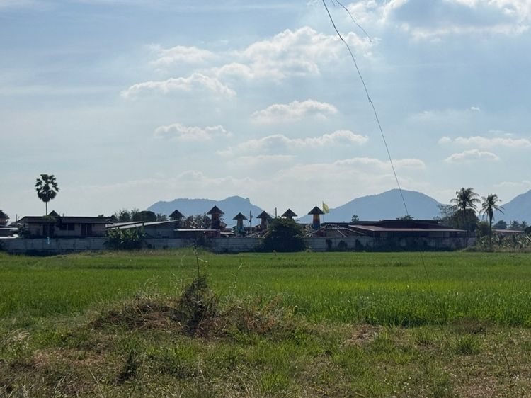 ที่เปล่า 11.55ไร่