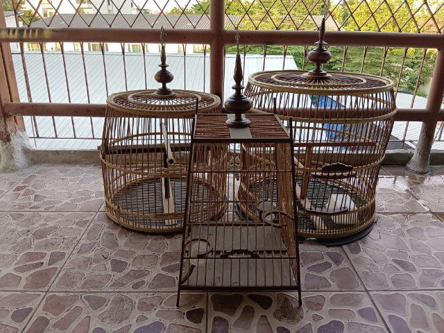 กรงนก 3 กรง มีที่ห้อยกรงสำเร็จรูป รูปที่ 3