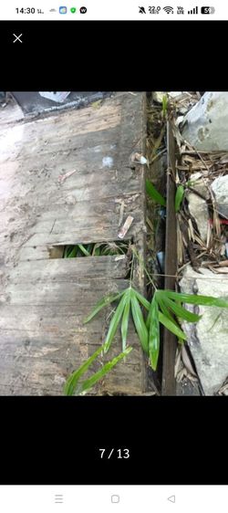 ขายศาลาไม้เก่าราคาถูก รูปที่ 9