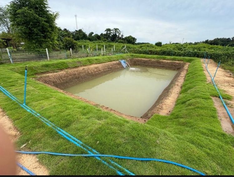 ไม่ใช่ ขายที่ดินกาญจนบุรี