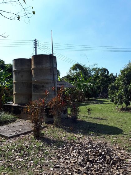 ที่ดินในแหล่งชุมชน ใกล้เทศบาลบ้านแป้น เมืองลำพูน รูปที่ 4
