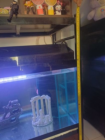 ขายตู้ปลามีฝา พร้อมขาตั้ง รูปที่ 2