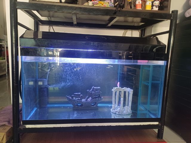ขายตู้ปลามีฝา พร้อมขาตั้ง