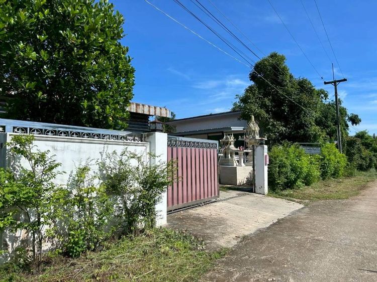 ขายพื้นที่โรงงาน โกดังคลัง พื้นที่สีเหลือง รูปที่ 4