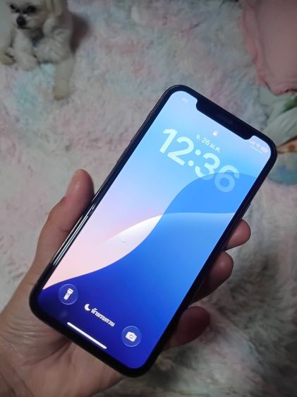 iPhone 64 GB ไอโฟน11pro (64GB) 