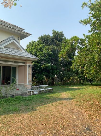 ขายบ้าน สันทรายป่าเหมือด 181 ตารางวา นอกโครงการ รูปที่ 3