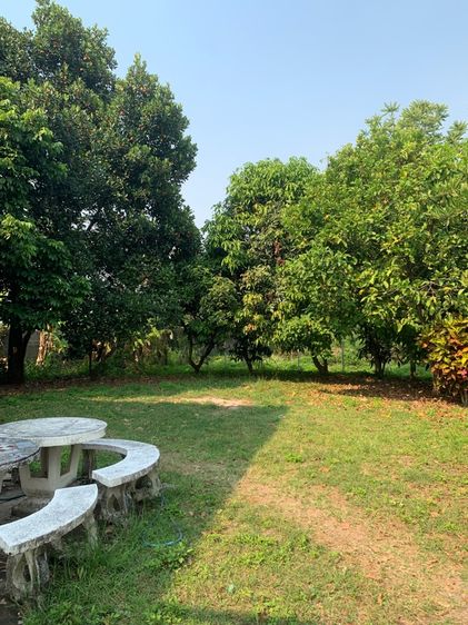 ขายบ้าน สันทรายป่าเหมือด 181 ตารางวา นอกโครงการ รูปที่ 4