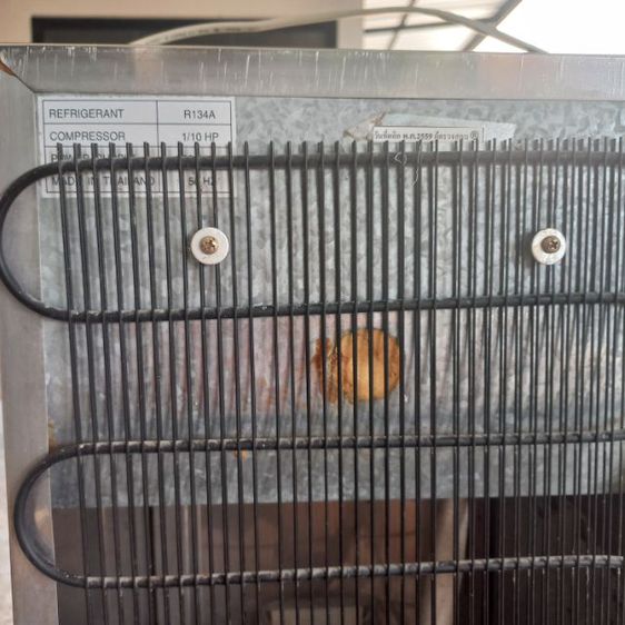 คูลเลอร์น้ำเย็น มือสอง ยี่ห้อ Standard 
 รูปที่ 11