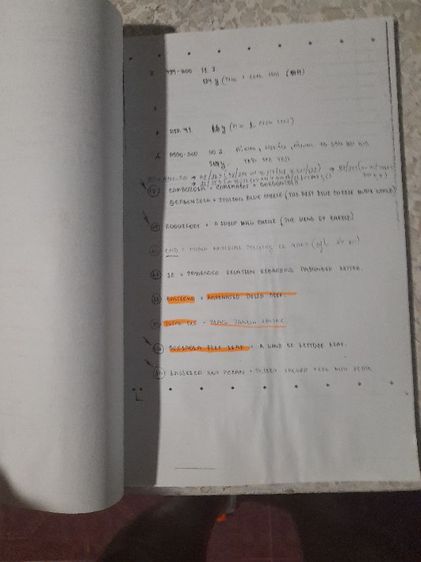 Guidelines for being a cabin attendant2 รูปที่ 18