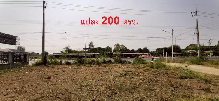 ให้เช่าที่ดิน มี 2 แปลง 100 และ 200 ตรว รูปที่ 4