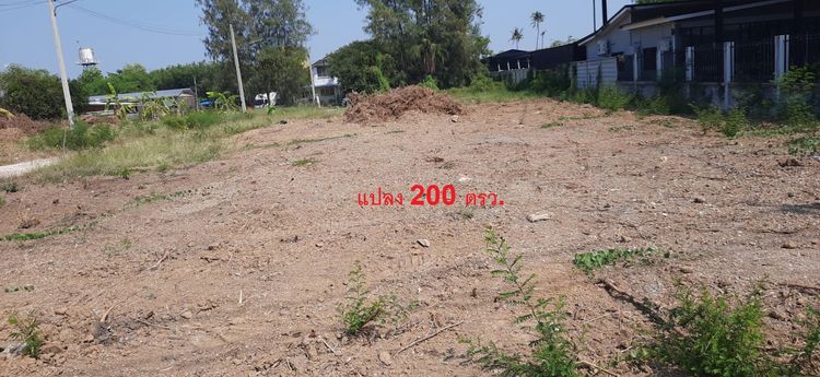 ให้เช่าที่ดิน มี 2 แปลง 100 และ 200 ตรว รูปที่ 3