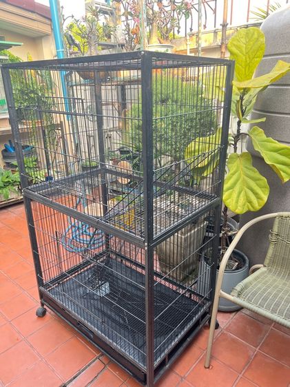 กรงเลี้ยงสัตว์ รูปที่ 2