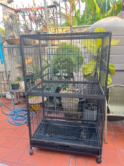 กรง คอกและประตู กรงเลี้ยงสัตว์