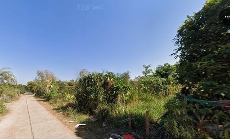 ที่ดินเปล่าใกล้ถนน 200 เมตร เขตชุมชน 2 งาน 90 ตรว. มีโฉนดครุฑแดว รูปที่ 4
