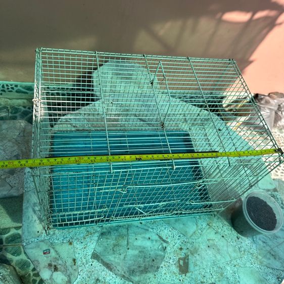 กรงเหล็ก รูปที่ 3