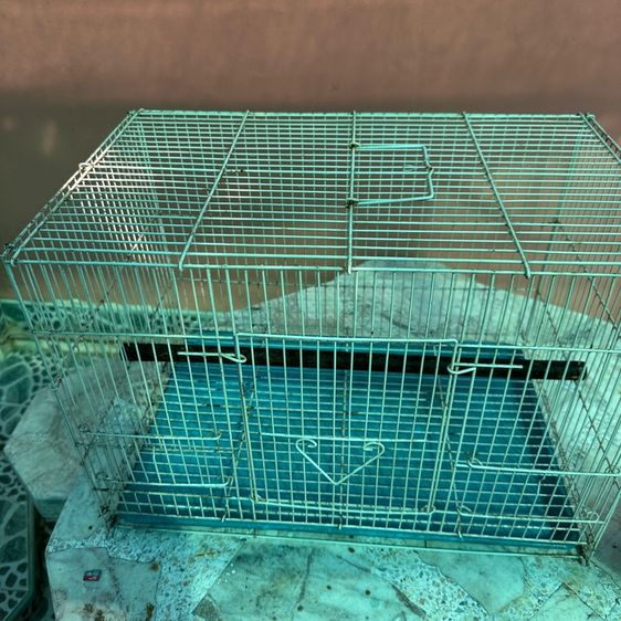 กรงเหล็ก รูปที่ 2