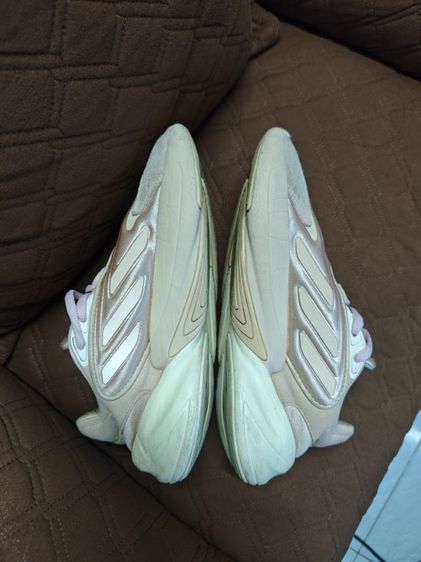 รองเท้าผ้าใบ รูปที่ 8