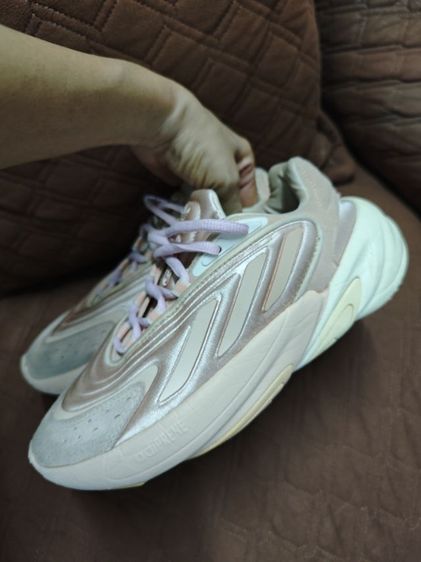 รองเท้าผ้าใบ รูปที่ 6