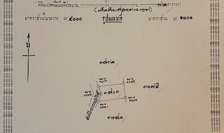ที่ดิน หางดง เชียงใหม่  รูปที่ 3