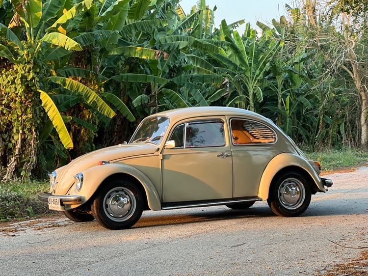 VOLKSWAGEN 1969 semi-automatic 