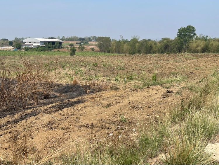 ที่ดินเปล่า 10 ไร่ รูปที่ 2